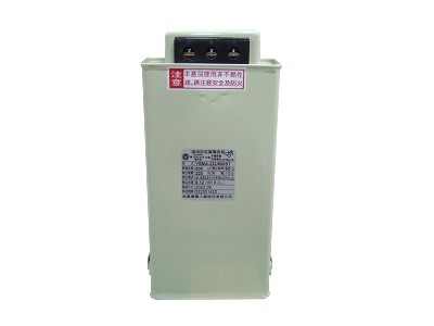 電容器 Capacitors